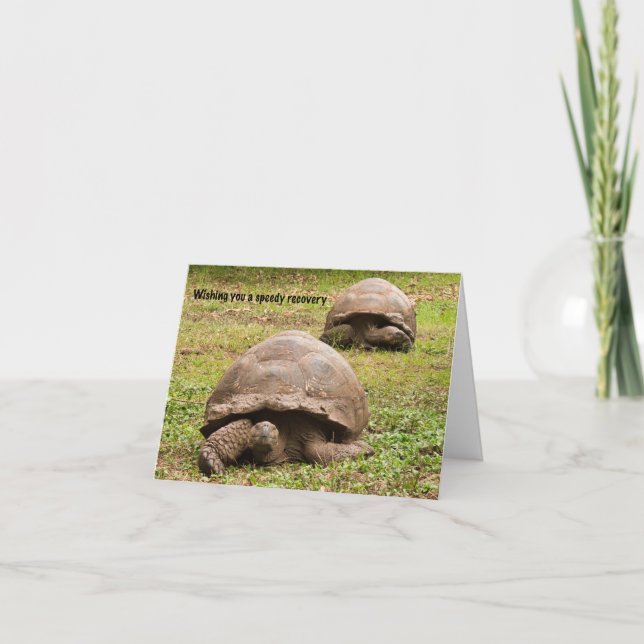 Carte De Remerciements Funny Tortoise Get Well Card (Devant)