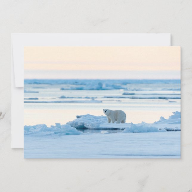 Carte De Remerciements Glace et neige | Ours polaire Iceberg Norvège (Devant)
