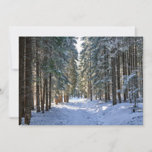 Carte De Remerciements Glace & Neige Monts Tatra, Pologne