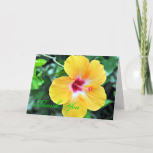 Carte De Remerciements Golden Hibiscus Thank