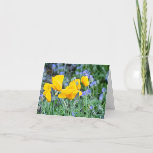 Carte De Remerciements Golden poppies (Devant)