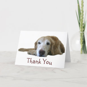 Carte de remerciements Golden Retriever