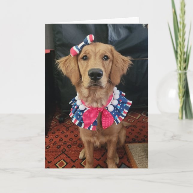 Carte De Remerciements Golden Retriever patriotique, 4 juillet salutation (Devant)