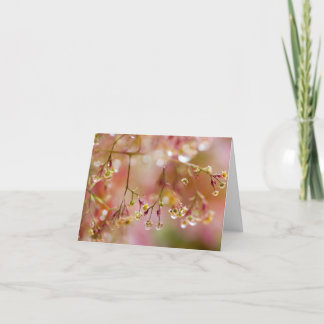 Carte De Remerciements Gouttes de pluie sur une fleur de Cotinus