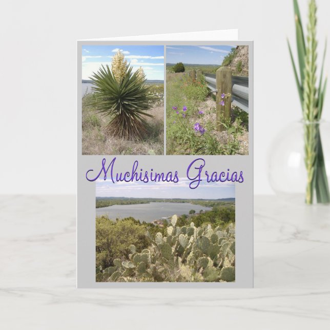 Carte De Remerciements Gracias ! (Devant)
