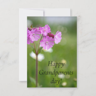 Carte De Remerciements Grand-parents jour les meilleurs grands-parents ja