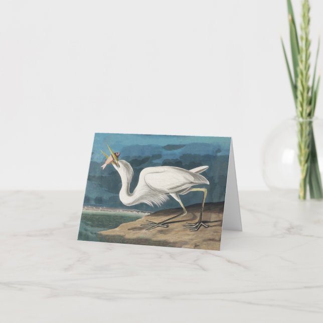 Carte De Remerciements Grande Peinture de la faune d'Audubon Heron blanc (Devant)