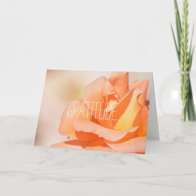 Carte De Remerciements Gratitude (Devant)