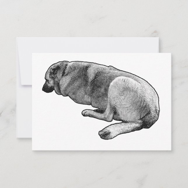 Carte De Remerciements Gratitude sans mouvement (Devant)