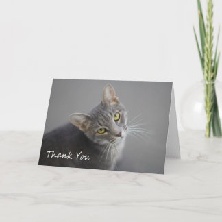 Carte De Remerciements Gray Tabby Cat