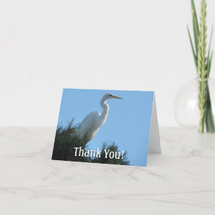 Carte De Remerciements Great Egret dans la Floride ensoleillée