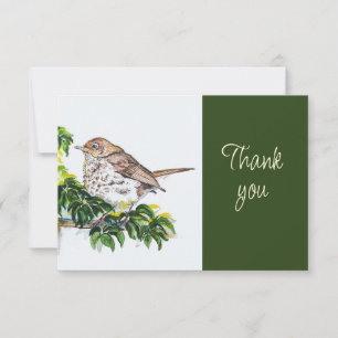 Carte De Remerciements Grive de Swainson Oiseau Nature AquarelleMerci