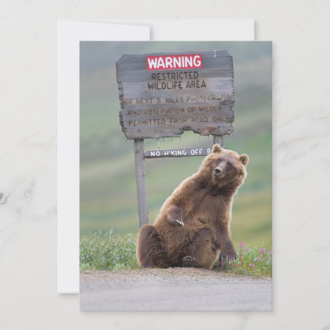 Carte De Remerciements Grizzly Bear Plays With Sign (Devant)