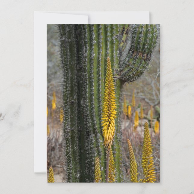 Carte De Remerciements Gros plan sur cactus et agave (Devant)