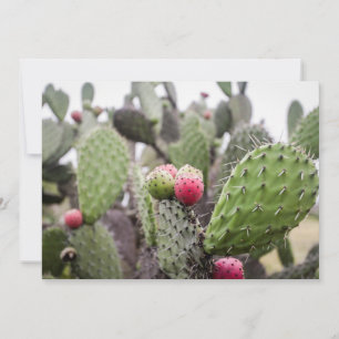 Carte De Remerciements Gros plan sur le cactus de figue de barbarie