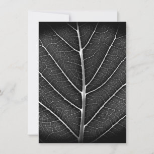 Carte De Remerciements Gros plan sur une feuille lumineuse noir et blanc