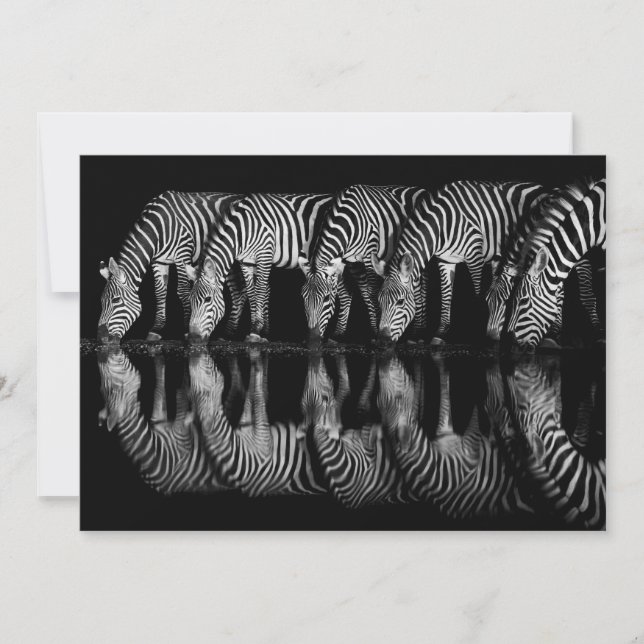 Carte De Remerciements Group of Plains Zebra Drink Together at Night (Devant)