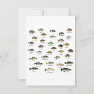 Carte De Remerciements Groupe nord-américain du poisson-soleil