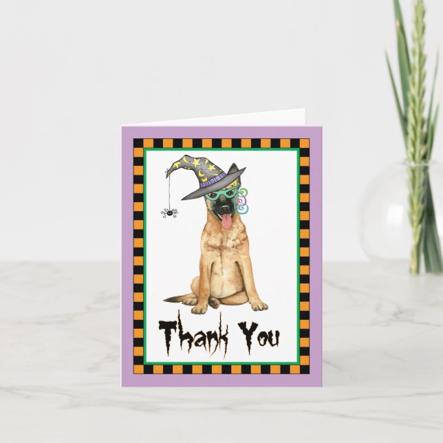 Carte De Remerciements Halloween Belgian Malinois Thank You (Devant)
