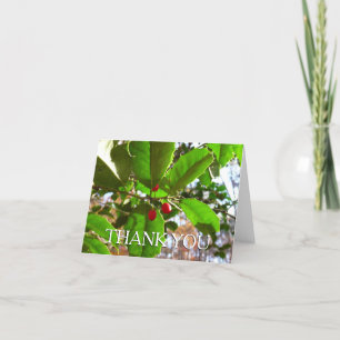 Carte De Remerciements Holly Feuilles II Vacances Nature Botanique