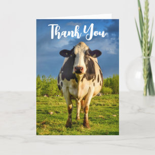 Carte de remerciements Holstein Cow personnalisée