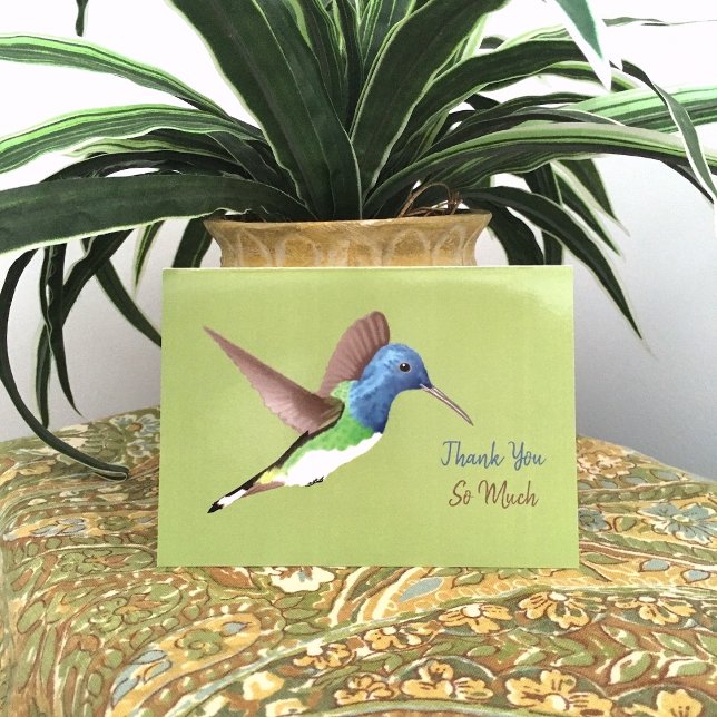 Carte De Remerciements Hovering Jacobin Hummingbird - transparent. (Créateur téléchargé)