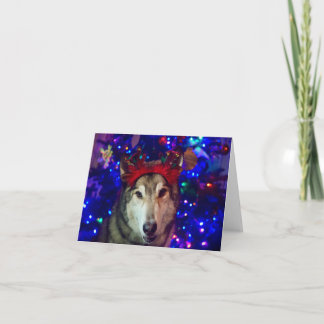 Carte De Remerciements Husky de Noël