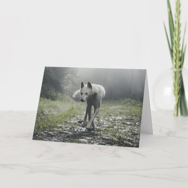 Carte De Remerciements Husky Sibérien Blanc (Devant)
