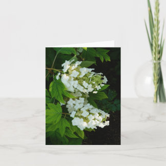 Carte De Remerciements Hydrangea à feuilles d'orme
