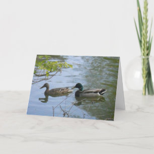 carte de remerciements "Hyland May Day Mallards #2