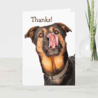 Carte De Remerciements I Could Kiss You Thank You Card