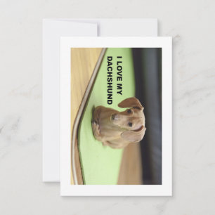 Carte De Remerciements I Love My Cream Dachshund avec photo