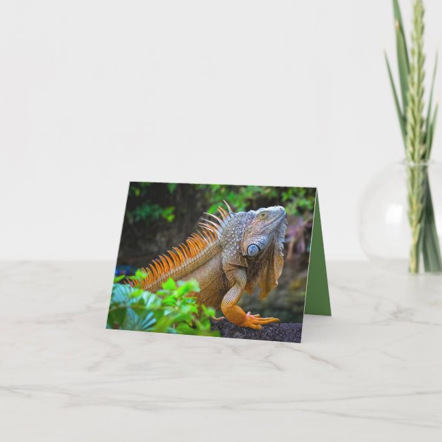 Carte De Remerciements "Iguane"  (Devant)