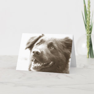 Carte De Remerciements Il était grand vous voyant !