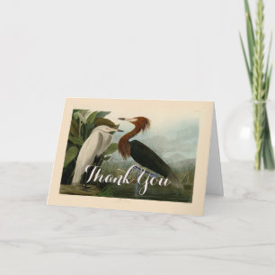 Carte De Remerciements Impression de Héron Pourpré d'Audubon : Art d'Oise