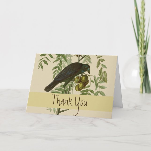 Carte De Remerciements Impression d'oiseau Grackle Violet d'Audubon Botan (Devant)