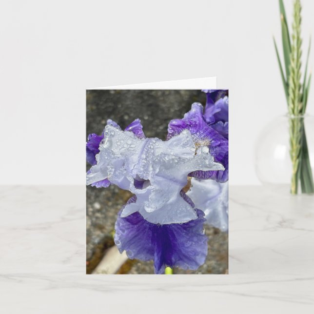 Carte De Remerciements Iris dans la rosée (Devant)