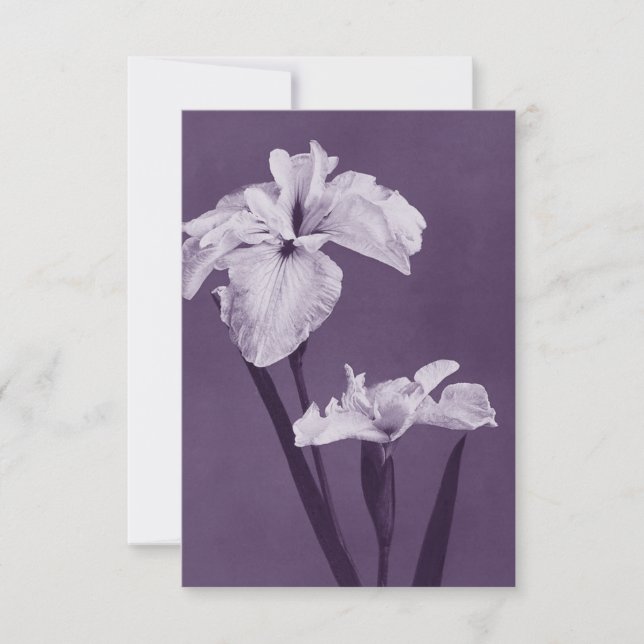 Carte De Remerciements Iris Fine Art (Devant)