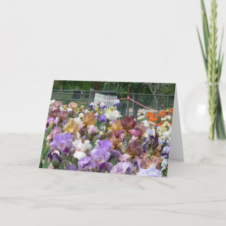 Carte De Remerciements Iris Garden