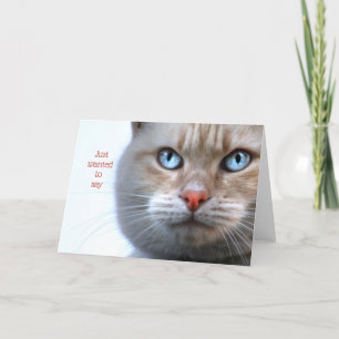 Carte De Remerciements Je voulais juste dire (visage de chat)