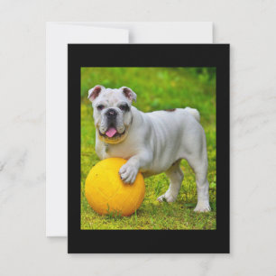 Carte De Remerciements Joli cadeau de Bulldog Basketball Bulldog Lover an
