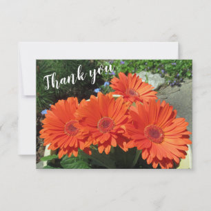 Carte De Remerciements Joli Orange Gerbera Daisy Photo manuscrite