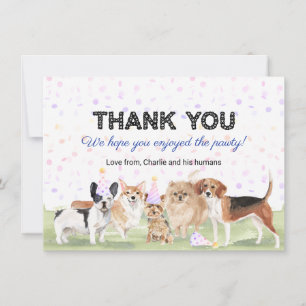 Carte De Remerciements Jolie fête d'anniversaire pour chien bleu personna