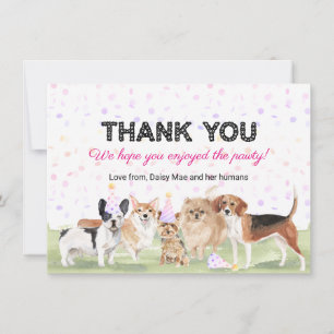 Carte De Remerciements Jolie fête d'anniversaire rose pour chien de compa