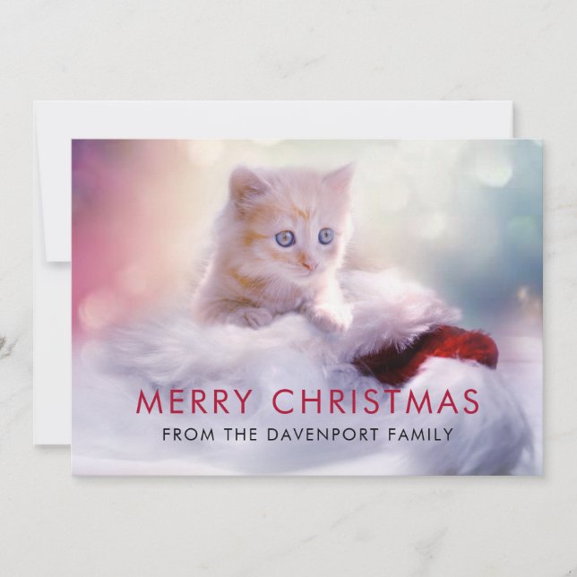 Carte De Remerciements Jolie Noël Kitten Festive (Devant)