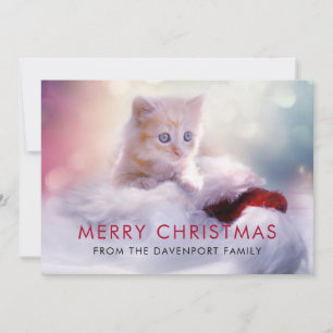 Carte De Remerciements Jolie Noël Kitten Festive