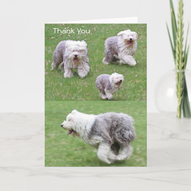 Carte De Remerciements Joy is the Simplest form of Gratitude. (Devant)