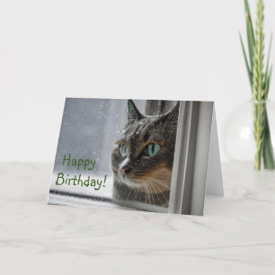 Carte De Remerciements Joyeux Chat Kitty Anniversaire