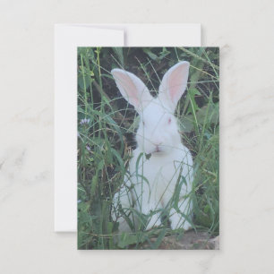 Carte De Remerciements Joyeux Lapin