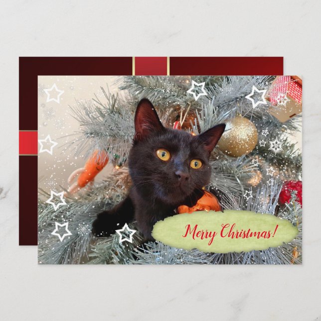 Carte De Remerciements Joyeux Noël chat noir  (Devant / Derrière)